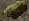 Small Niter